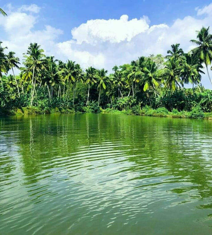nature
