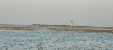 обои lake, Bank