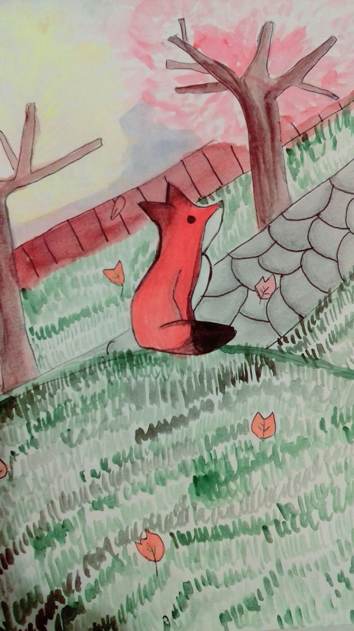 Little Red Fox