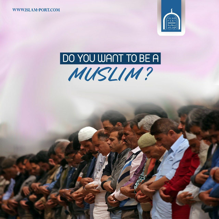 Islam against racism