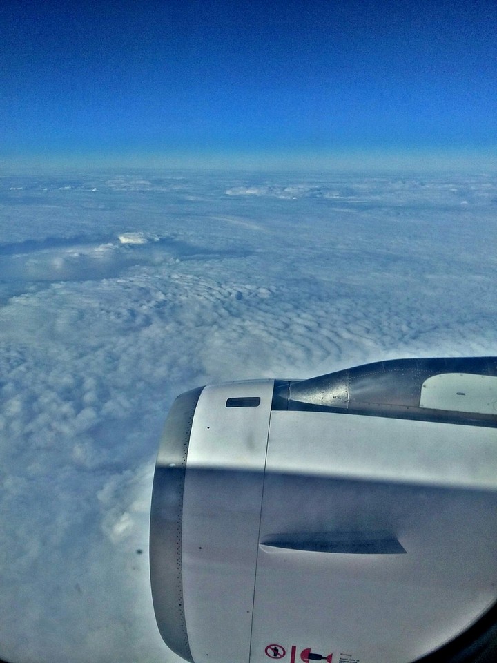 Fly