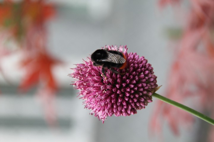Frühling