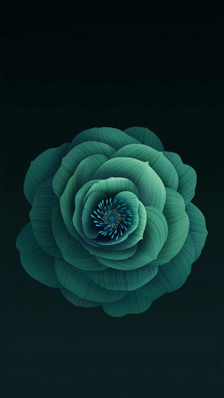 HD flower