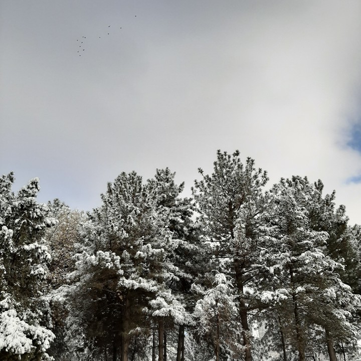 december