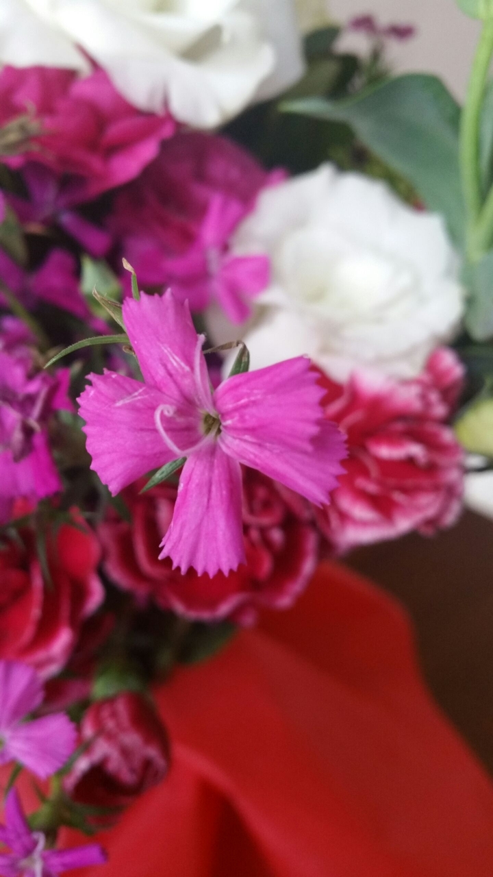 pembe