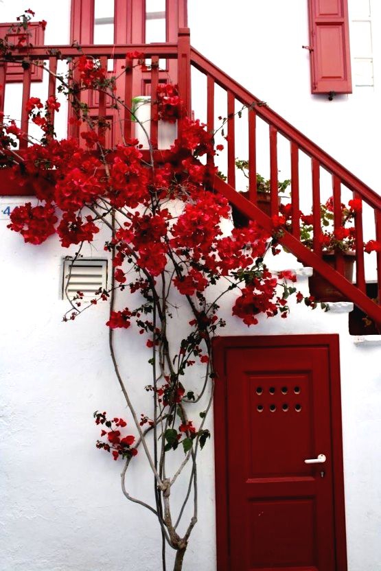 red