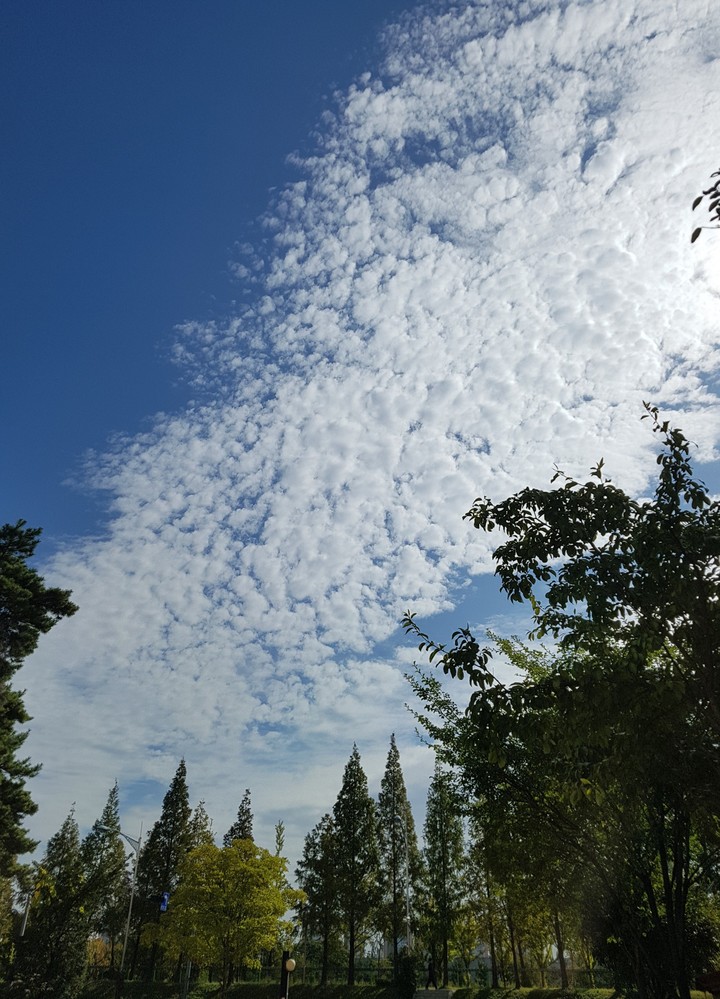 sky