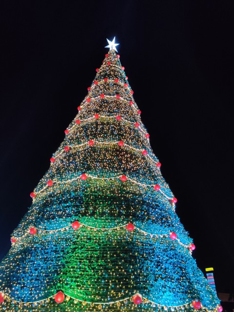 Merry Christmas