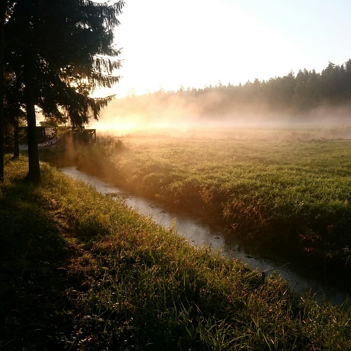 Autumn morning