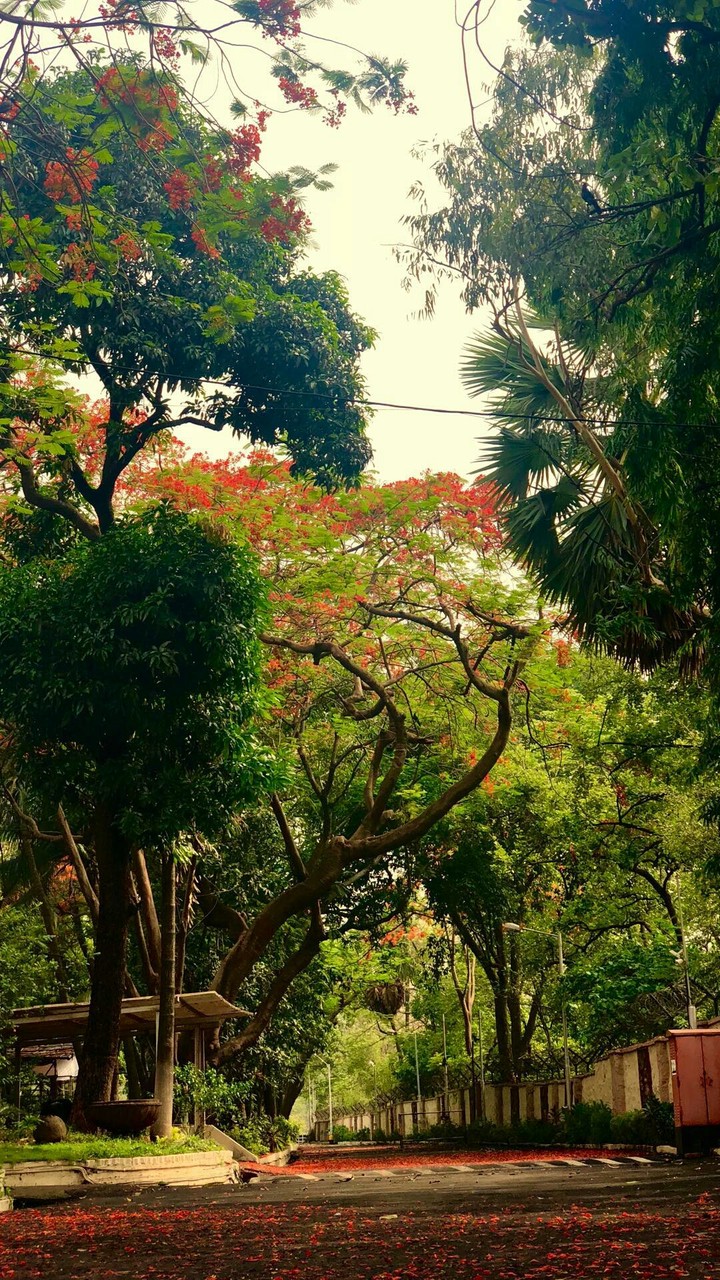 Tarde en el jardin