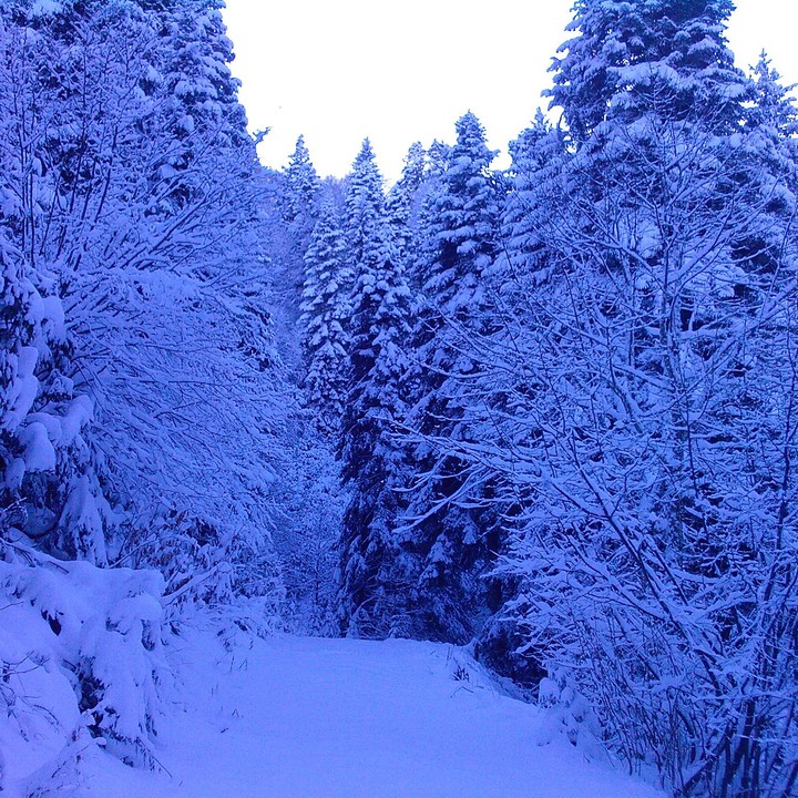 Turkey/ Giresun