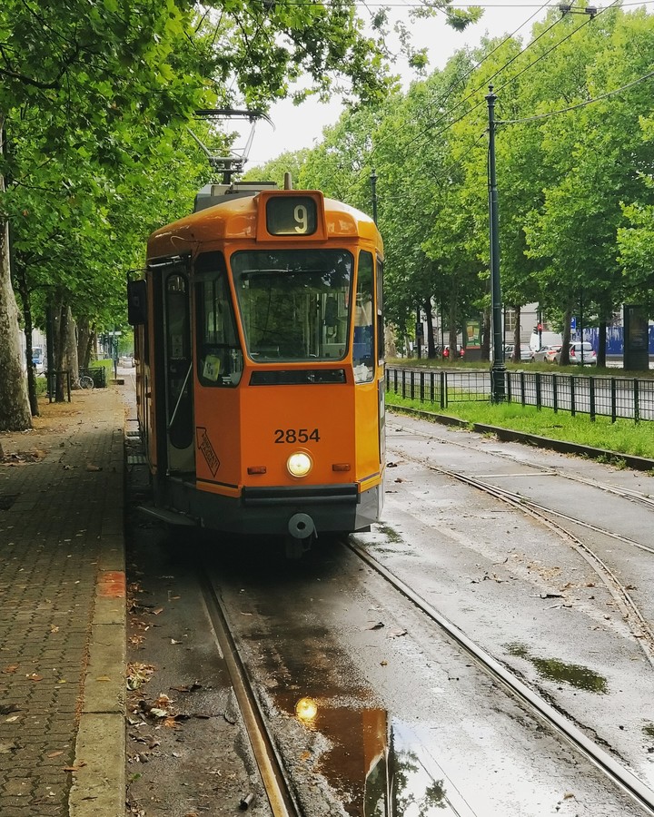 Tram 9, Turin