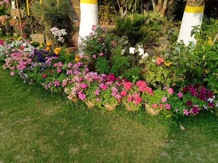 LoVeLy FlOwErS