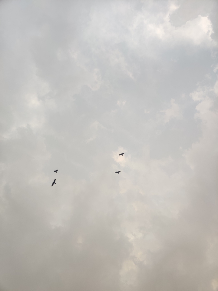 flying high