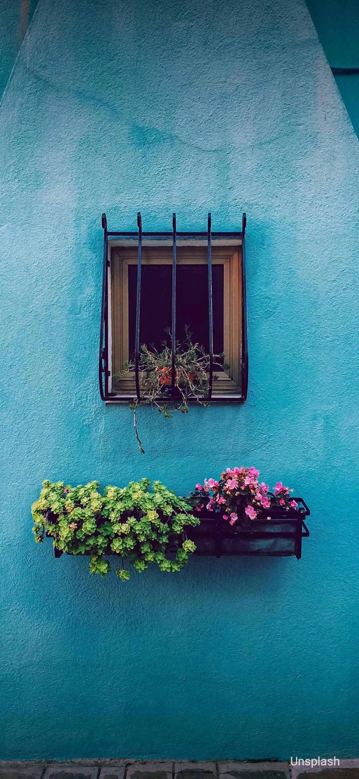 bohemian