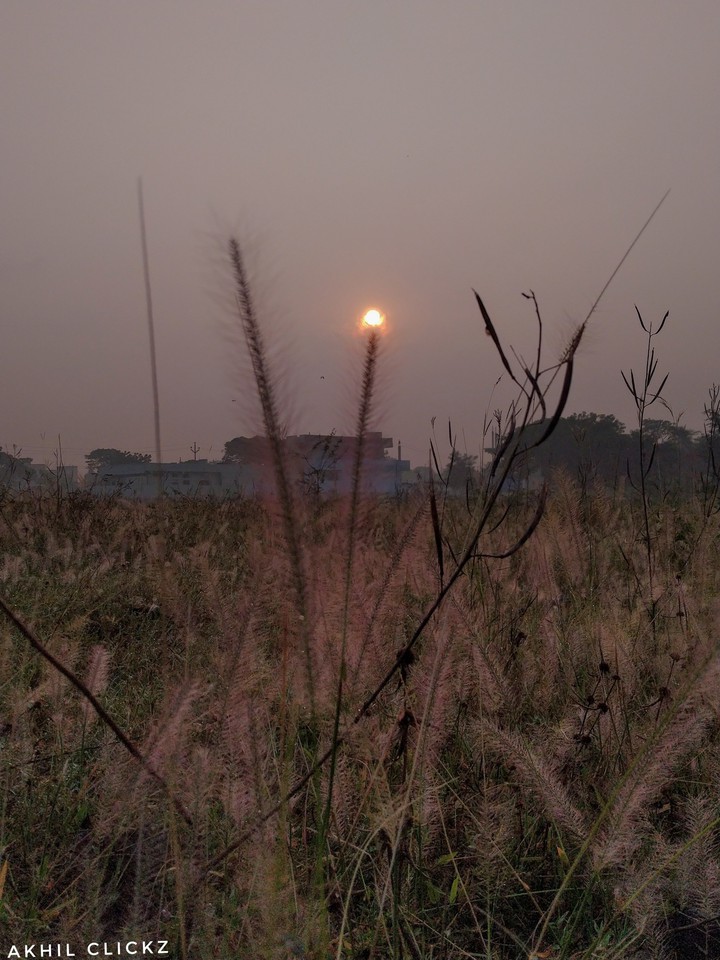 sun rise