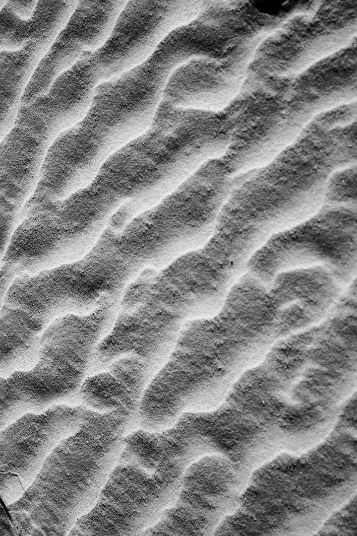 Sandy