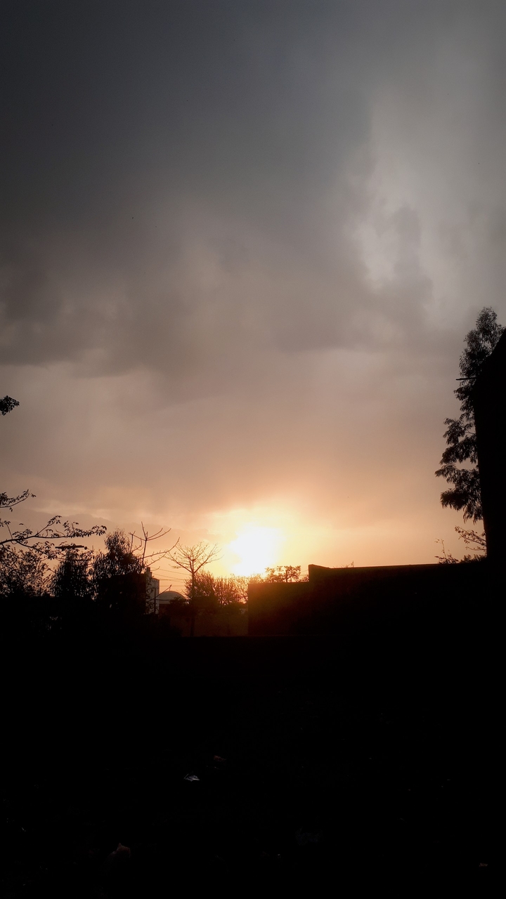 Weather