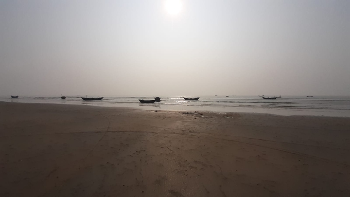 sea sore