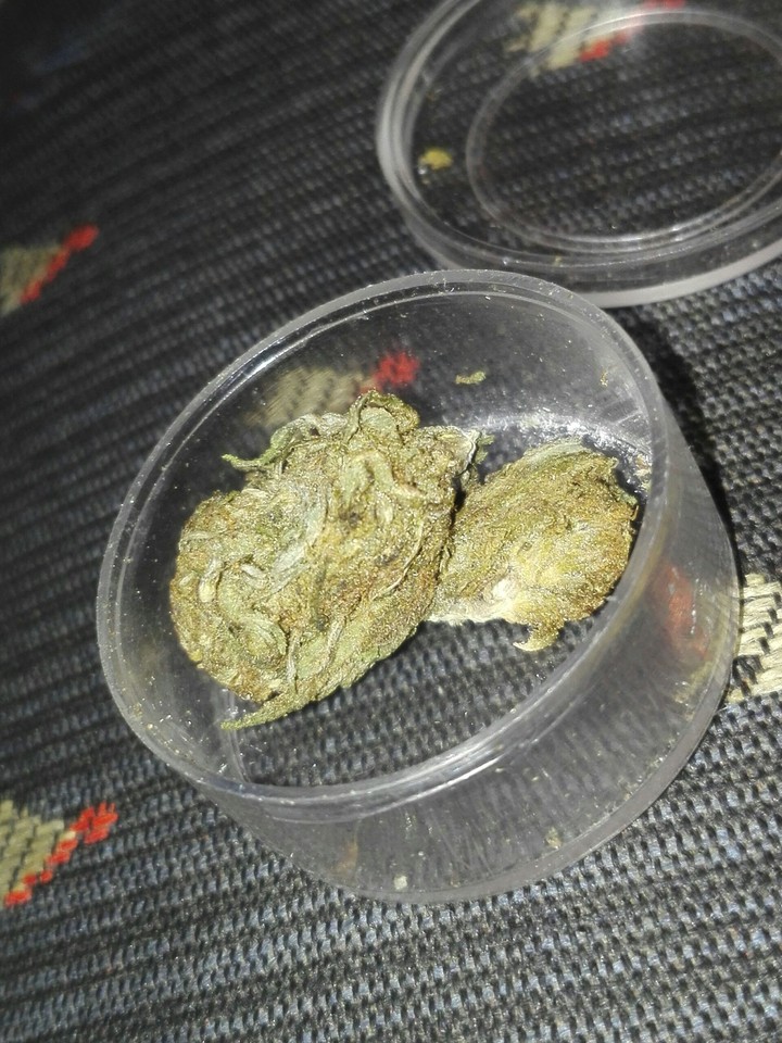 weed