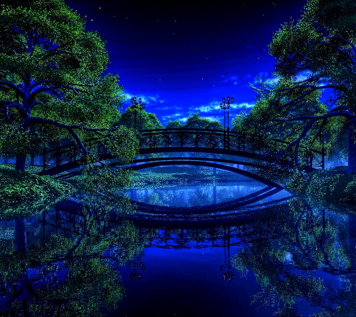 night