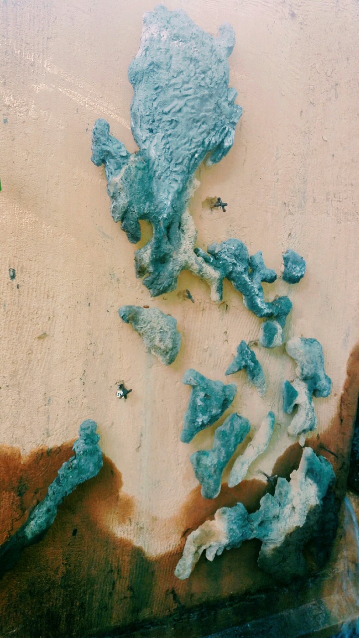 Ph