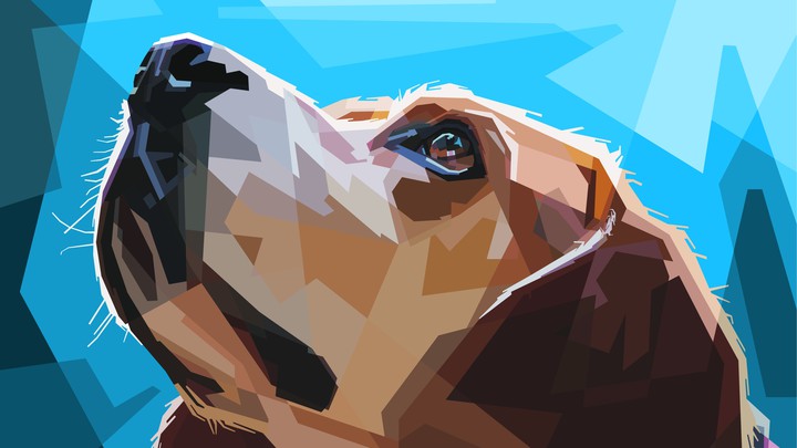 dog.