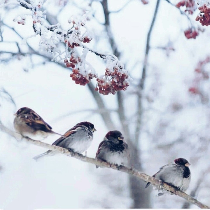 #hiver