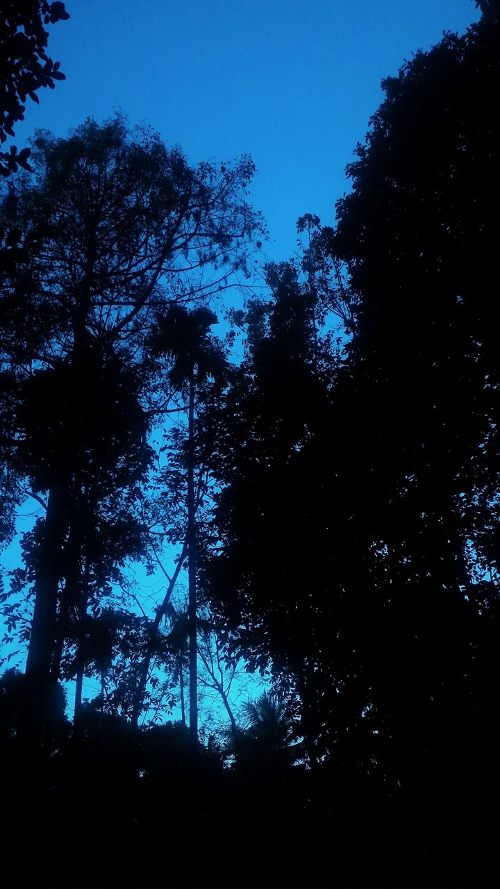 blue