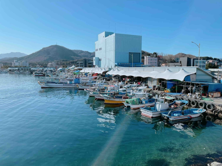 Harbour in winter