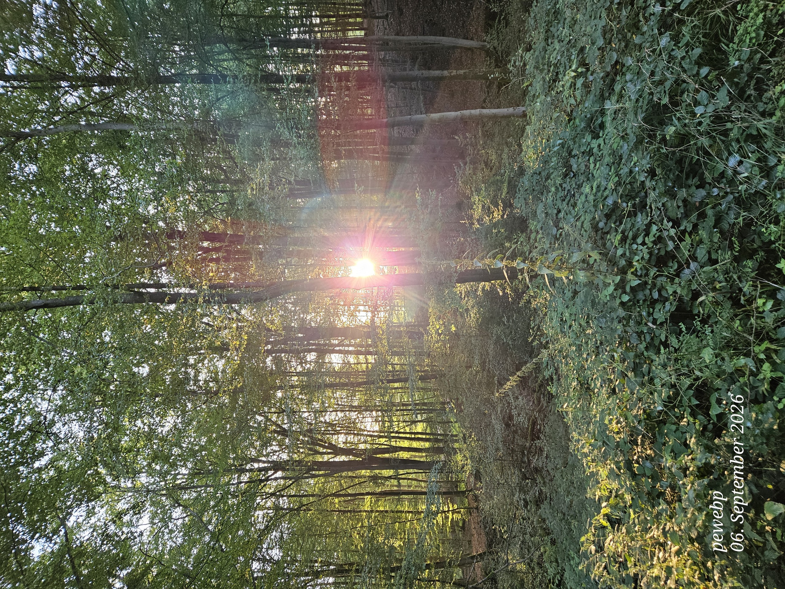 Herbstlich