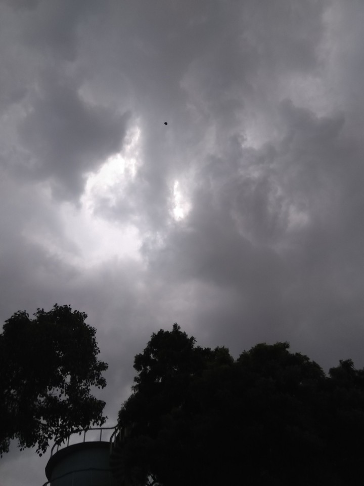mobile photography