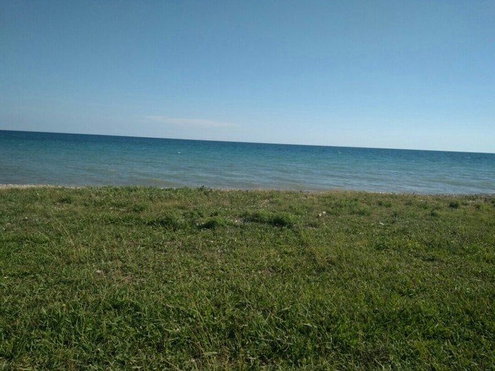 Красота 