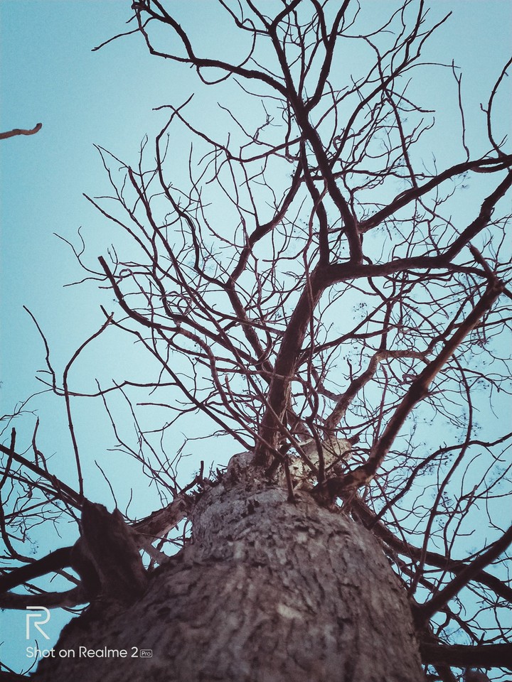 Blue sky makes you mind light and relaxed