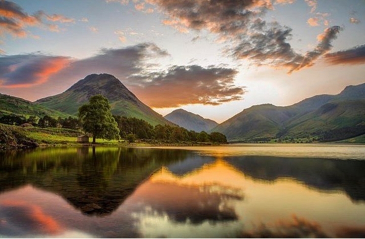 nature of beauty
