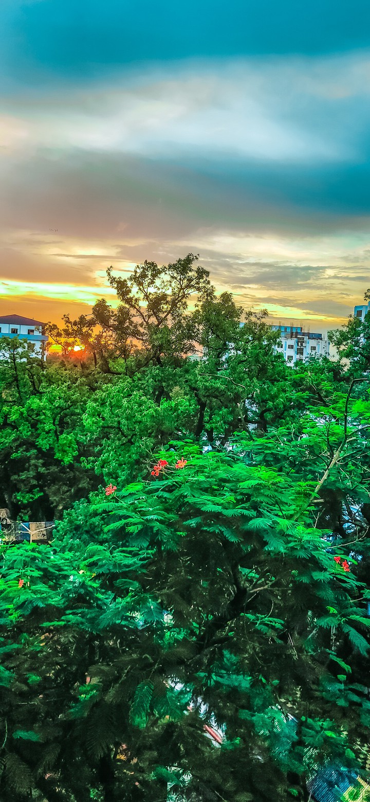 city view