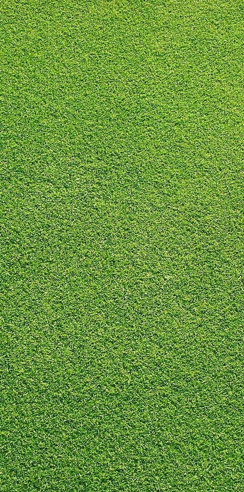 tapety grasses, green