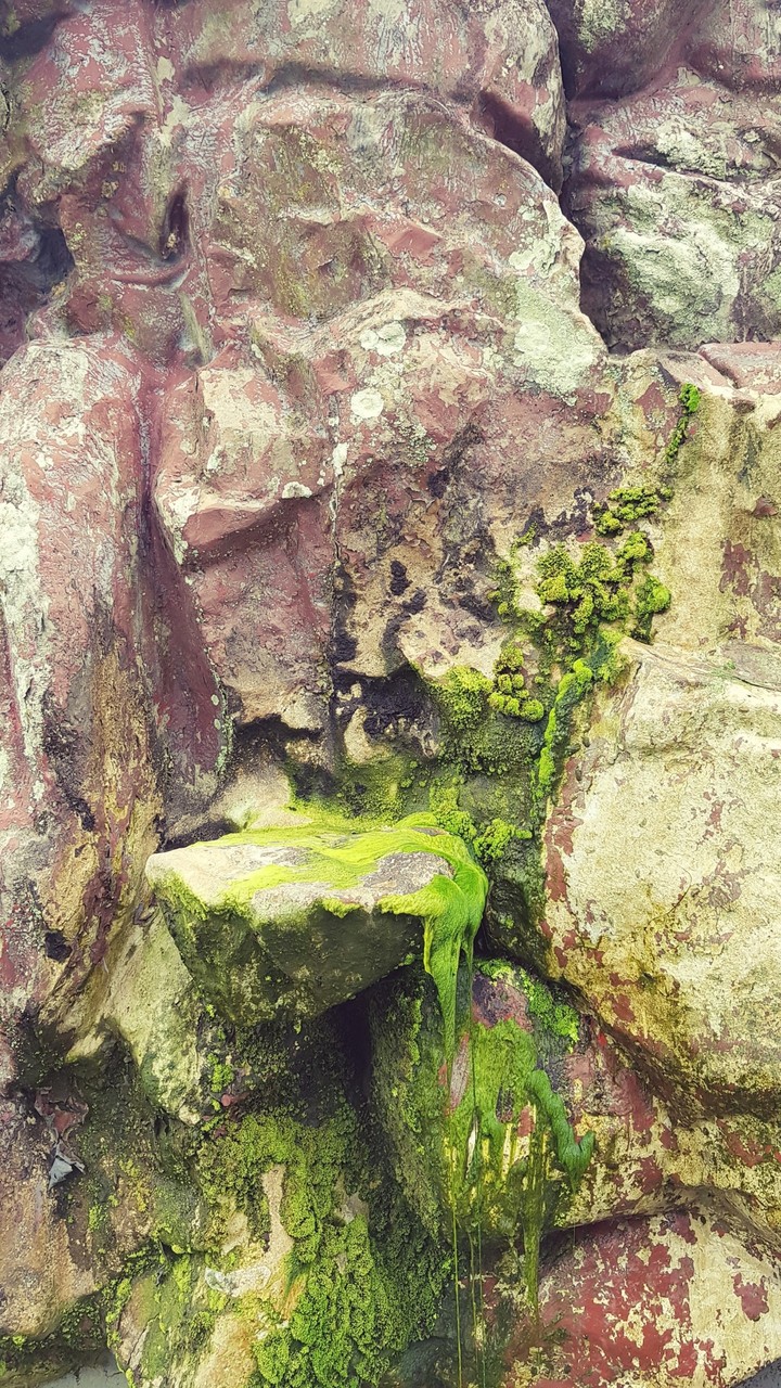 Nature curved in stones