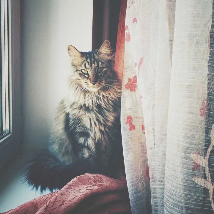♡