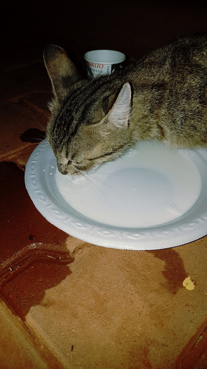 Çok acıkmış :)