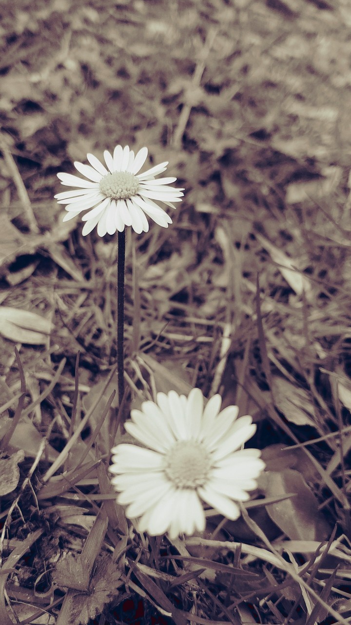 BEAUTY of ART is hidden in the first look at it.