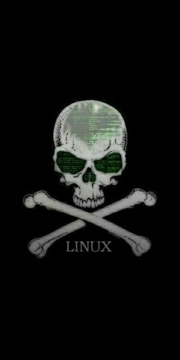 kali linux skull