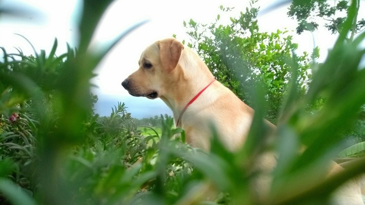 Enjoying view