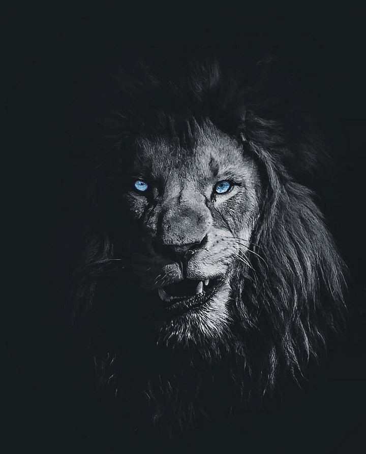 #BLVCK