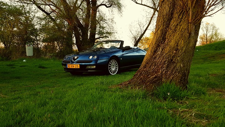 alfa romeo