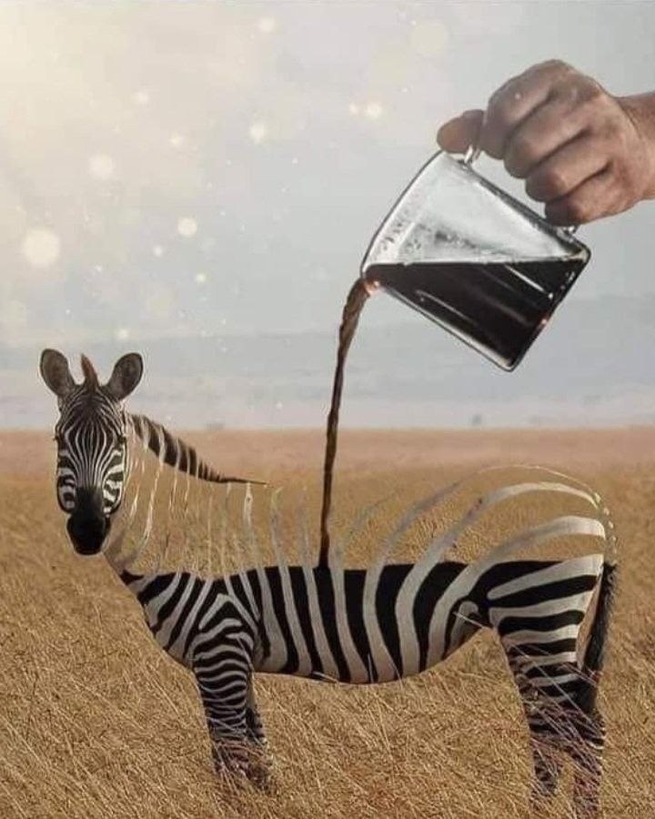 .