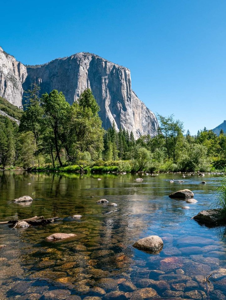 nature