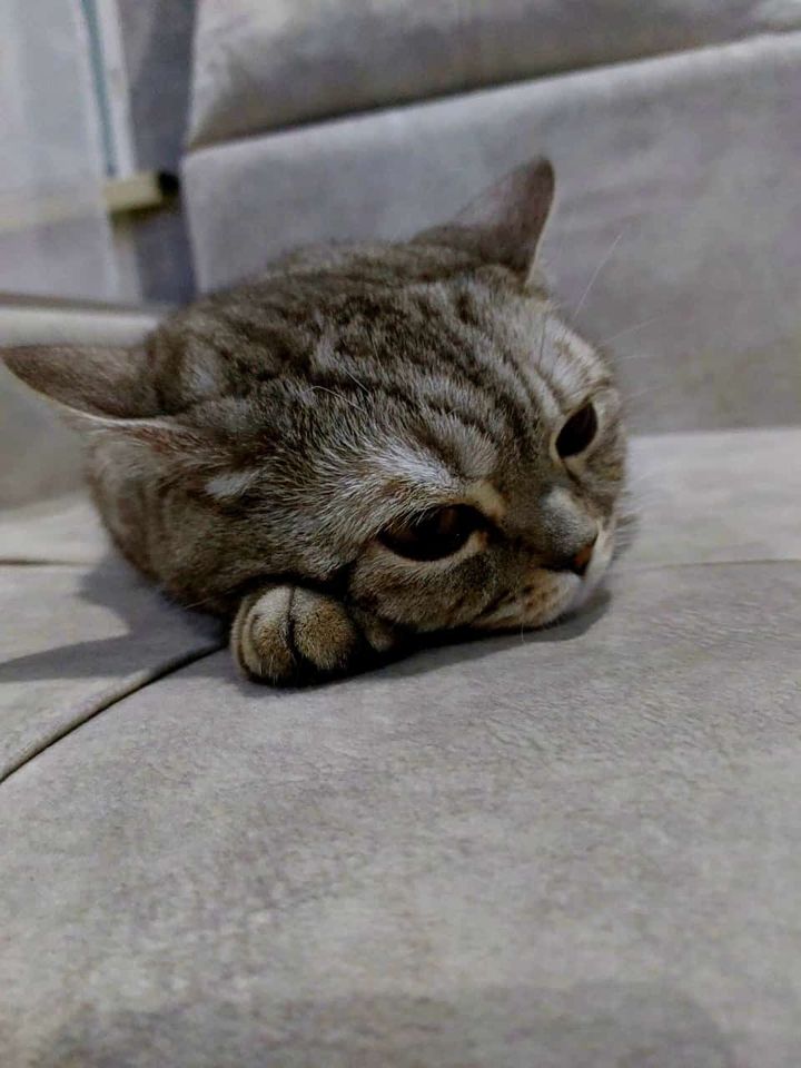 .
