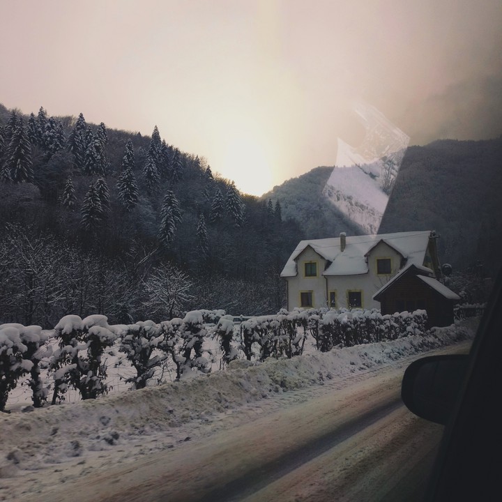 car view