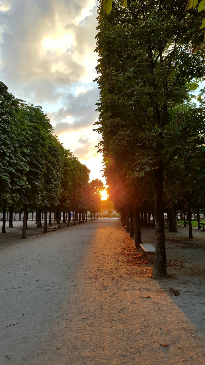 Sunset in Paris